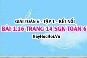 Giải bài 1.16 trang 14 Toán 6 Tập 1 SGK Kết nối tri thức